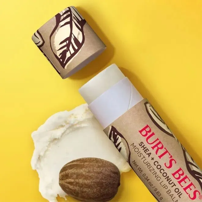 Burt's Bees Shea   Coconut Oil Paper Tube Moisturizing Lip Balm in Blister Box 0.34 oz Lip Balm